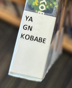 The closeup of the spine of the book "Gender Queer," focusing on the spine label. The label reads "YA GN KOBABE."