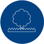 icon-park Tree/park icon